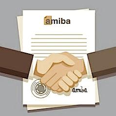 202 - AMiBA PRO 13.0 + BIBLIOTHÈQUE COMPLÈTE