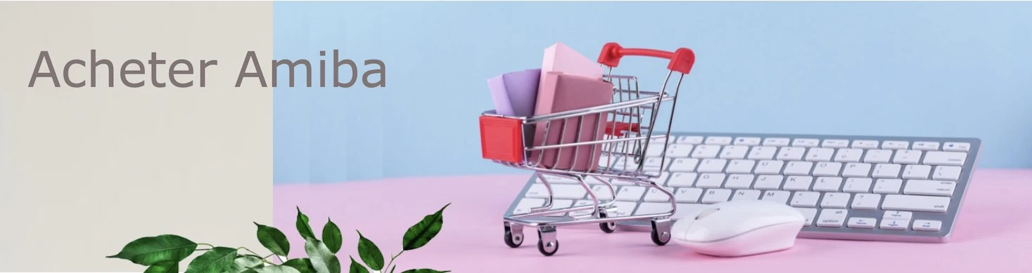 Acheter panier amiba